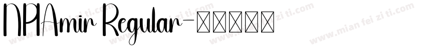 NPIAmir Regular字体转换